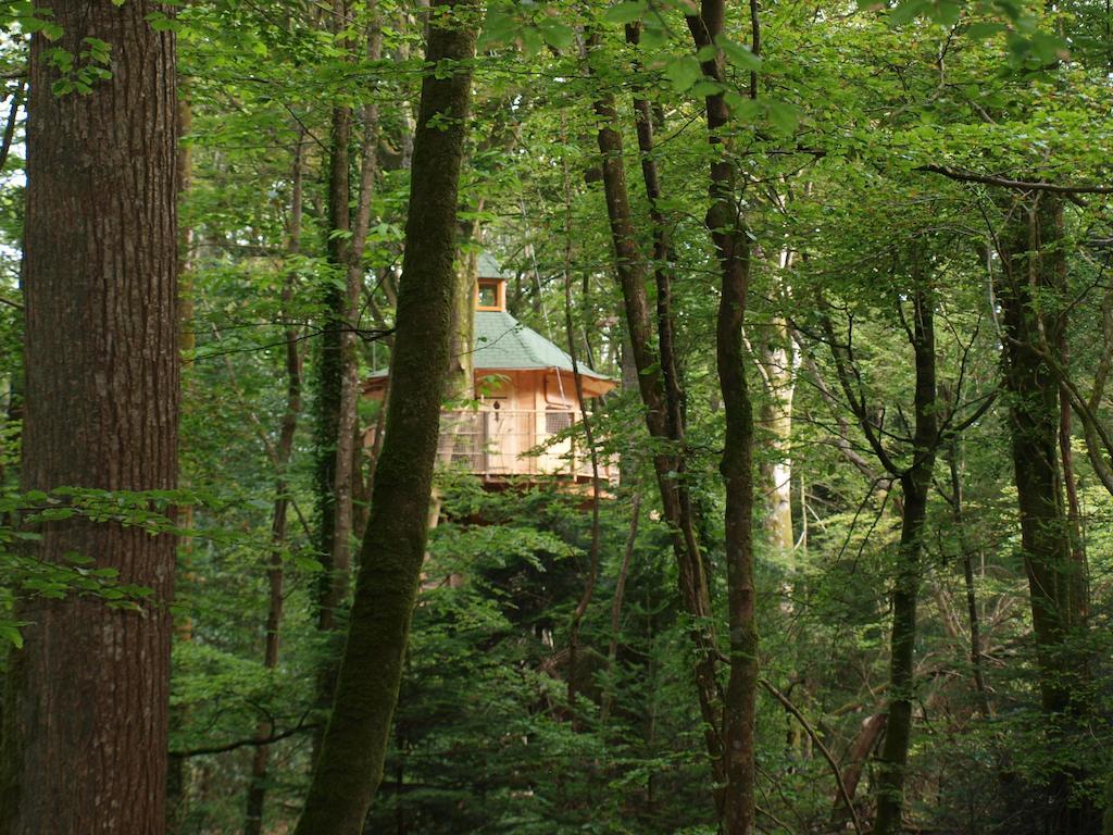 Les Cabanes De Kermenguy Cleder Номер фото